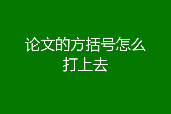 论文的方括号怎么打上去