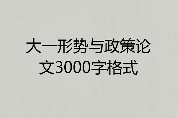 大一形势与政策论文3000字格式