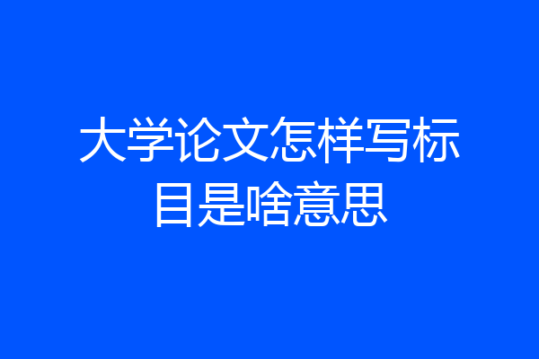 大学论文怎样写标目是啥意思