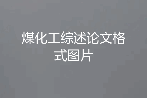 煤化工综述论文格式图片