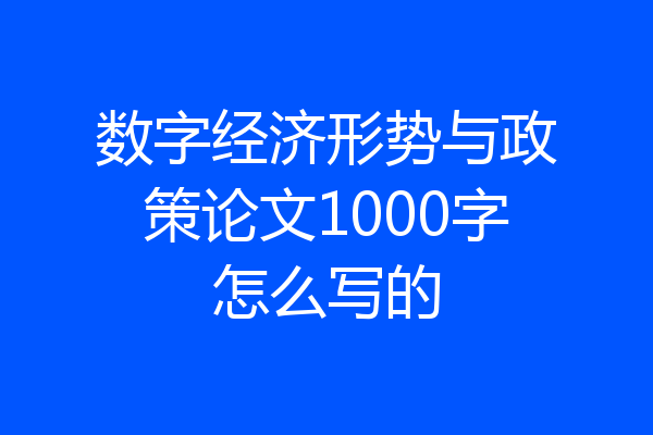 数字经济形势与政策论文1000字怎么写的