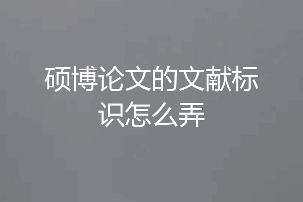 硕博论文的文献标识怎么弄