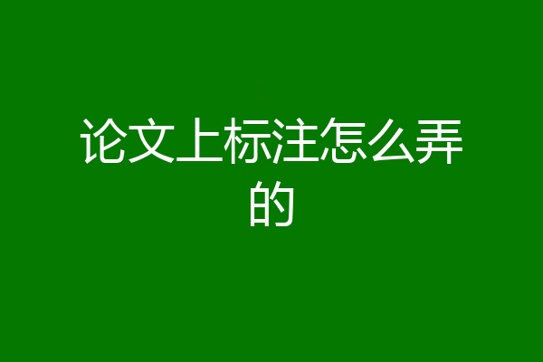 论文上标注怎么弄的