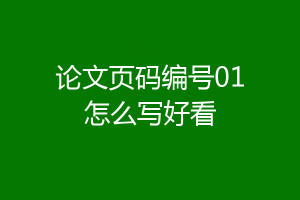 论文页码编号01怎么写好看
