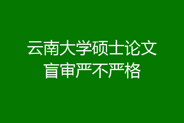 云南大学硕士论文盲审严不严格