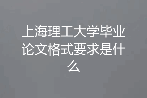 上海理工大学毕业论文格式要求是什么