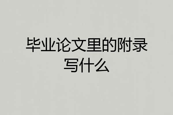 毕业论文里的附录写什么