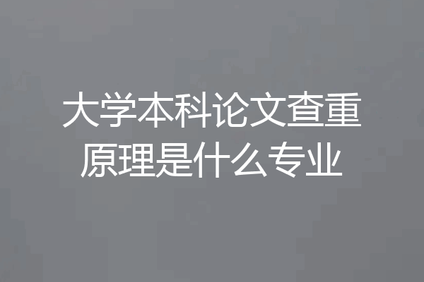 大学本科论文查重原理是什么专业