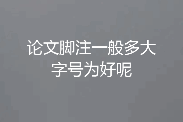 论文脚注一般多大字号为好呢