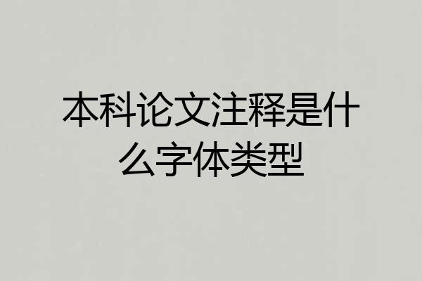 本科论文注释是什么字体类型