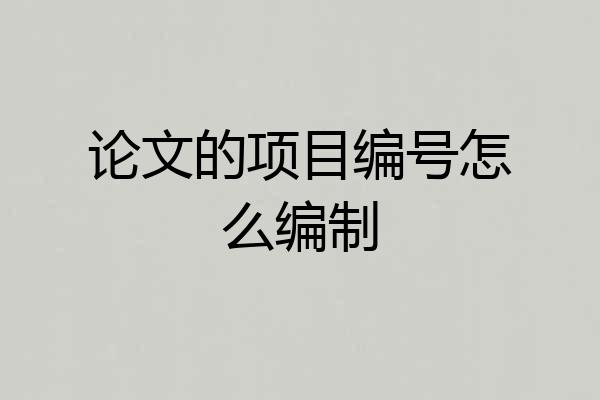 论文的项目编号怎么编制