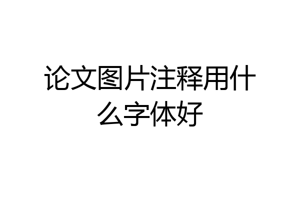 论文图片注释用什么字体好
