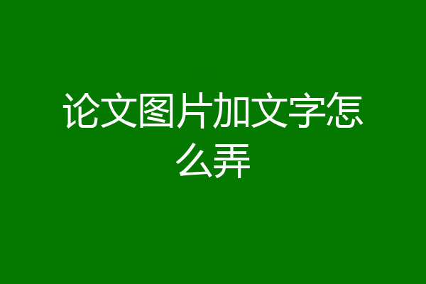 论文图片加文字怎么弄