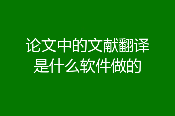 论文中的文献翻译是什么软件做的