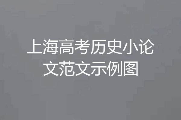 上海高考历史小论文范文示例图