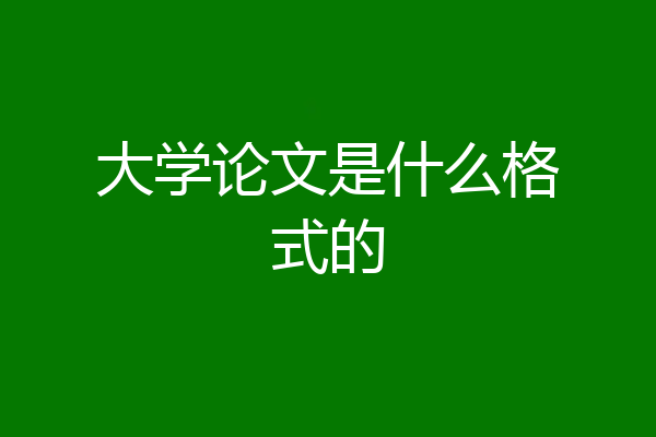 大学论文是什么格式的