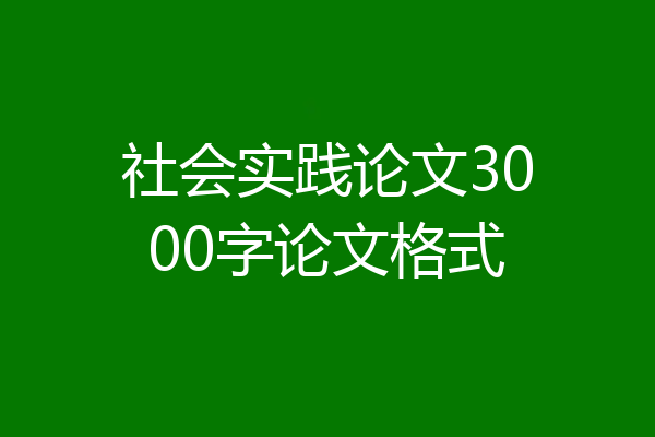 社会实践论文3000字论文格式