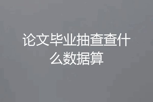 论文毕业抽查查什么数据算
