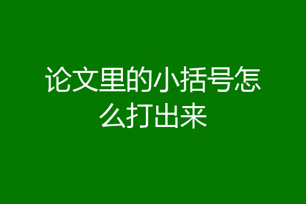 论文里的小括号怎么打出来