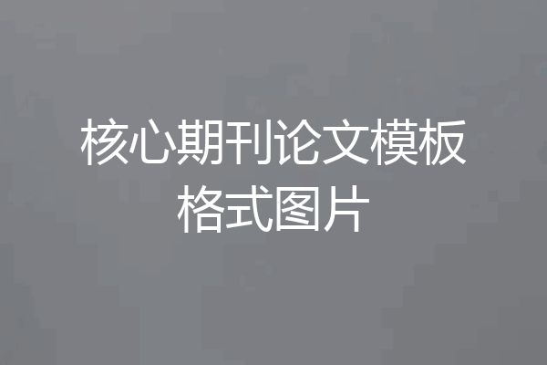 核心期刊论文模板格式图片