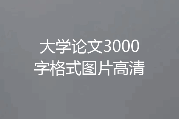 大学论文3000字格式图片高清