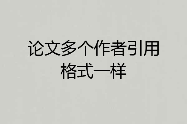 论文多个作者引用格式一样