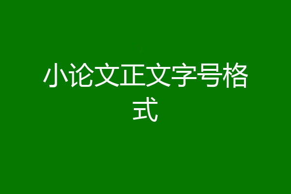 小论文正文字号格式