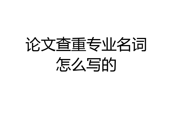 论文查重专业名词怎么写的