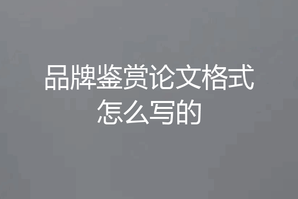 品牌鉴赏论文格式怎么写的