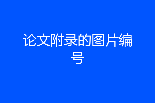 论文附录的图片编号