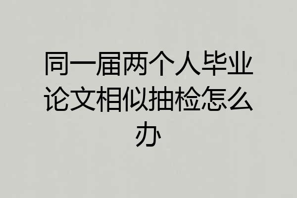 同一届两个人毕业论文相似抽检怎么办