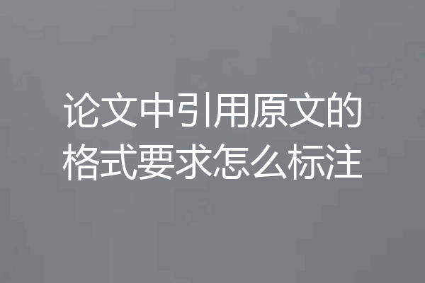 论文中引用原文的格式要求怎么标注