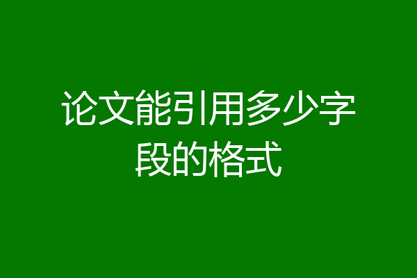 论文能引用多少字段的格式