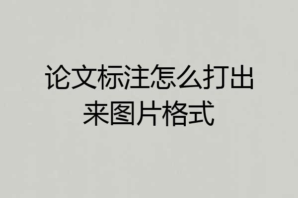 论文标注怎么打出来图片格式