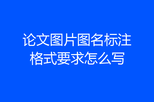 论文图片图名标注格式要求怎么写