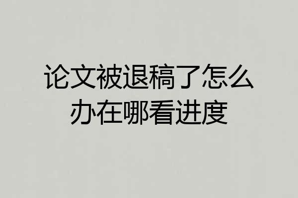 论文被退稿了怎么办在哪看进度