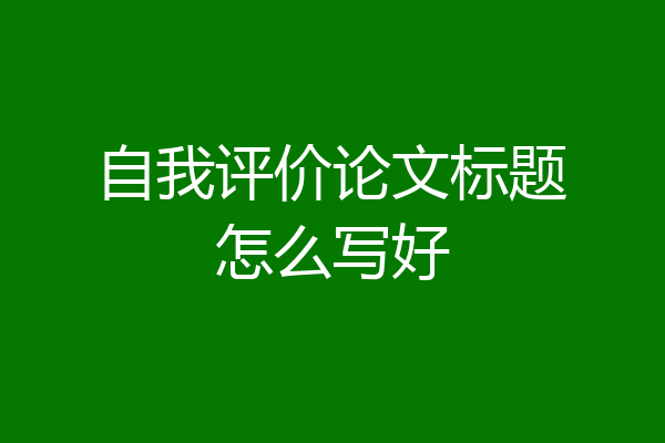 自我评价论文标题怎么写好