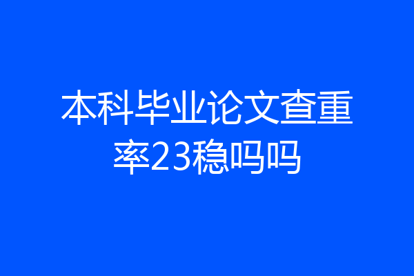 本科毕业论文查重率23稳吗吗