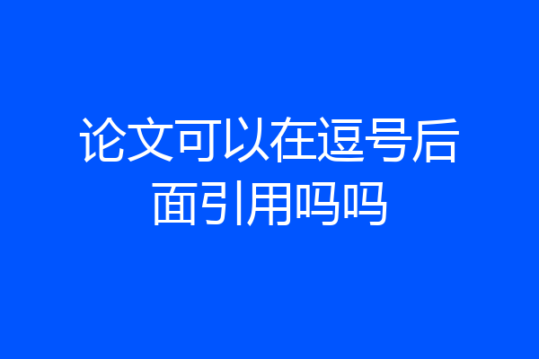 论文可以在逗号后面引用吗吗