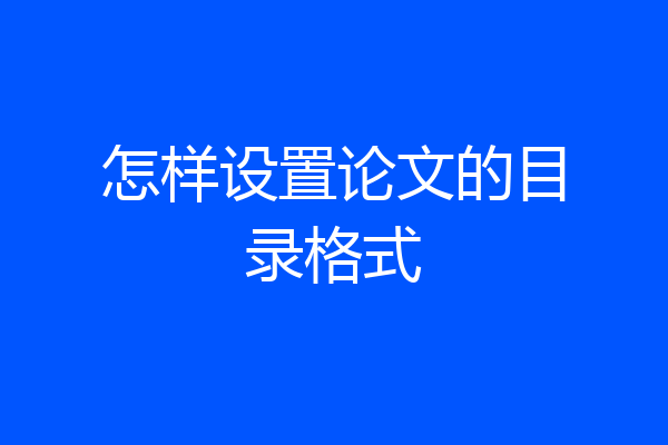 怎样设置论文的目录格式