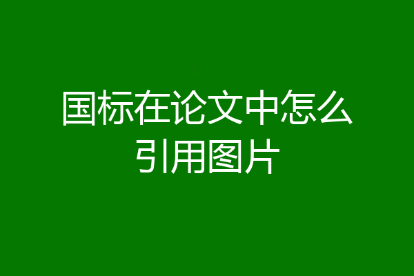 国标在论文中怎么引用图片