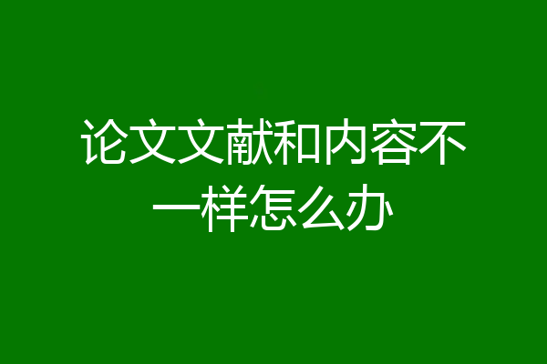 论文文献和内容不一样怎么办