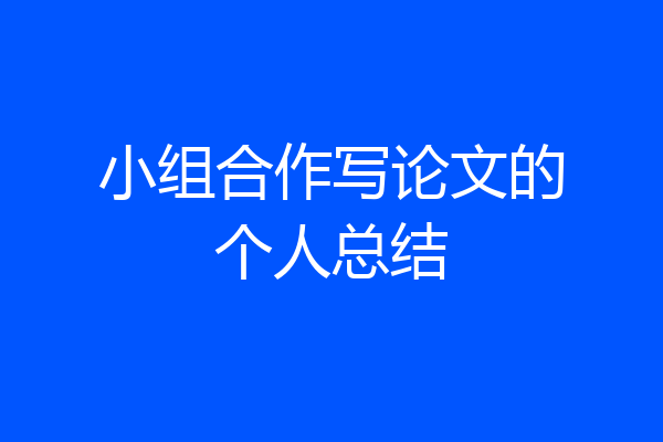 小组合作写论文的个人总结