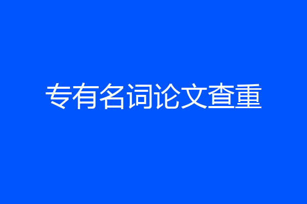 专有名词论文查重