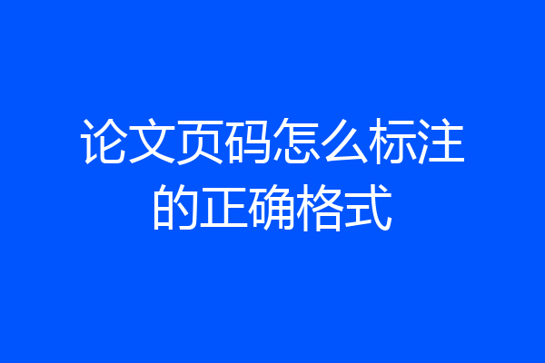 论文页码怎么标注的正确格式