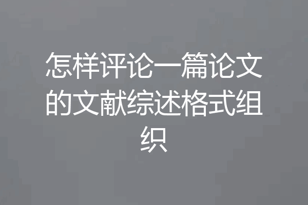 怎样评论一篇论文的文献综述格式组织