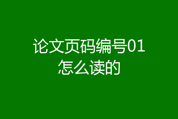 论文页码编号01怎么读的