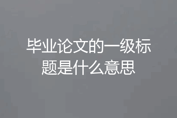 毕业论文的一级标题是什么意思