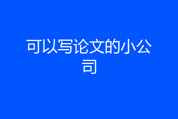 可以写论文的小公司