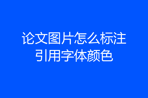 论文图片怎么标注引用字体颜色
